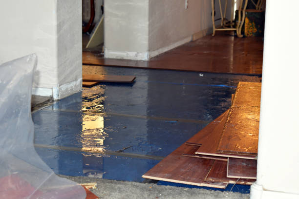 Professional Basement Flood Cleanup technician working in Windsor Heights, IA